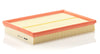 Mann Filter C 30 125/1